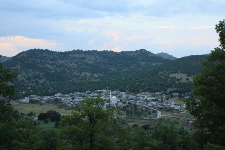 Türkiye launches $750m agrifood transformation project targeting 110,000 jobs