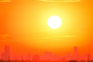 UK heatwave affected 96% of projects, APM survey finds
